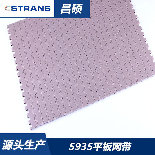 厂家销售5935塑料网带 1901平板网带节距19.05mm 食品输送网带线