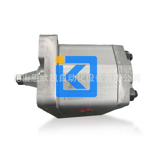 DEKA齿轮泵P1BAN1005FL10B01N