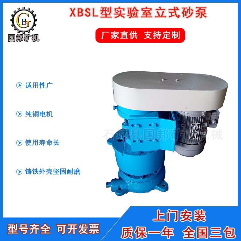 实验室立式输送砂泵XBSL立式渣浆泵小型矿浆输送砂泵电动立式离心