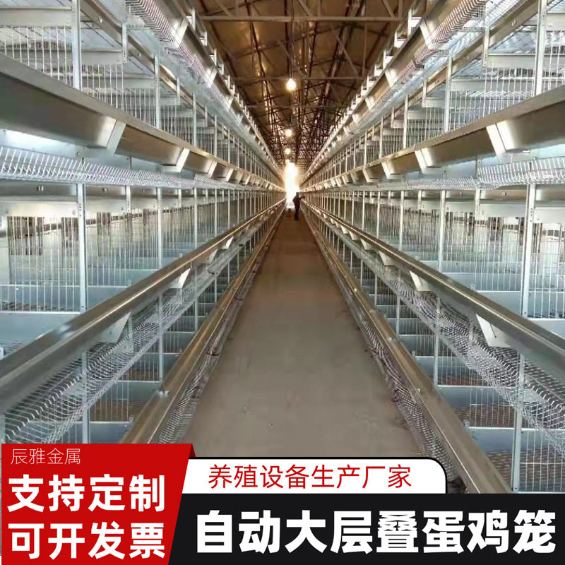 大型养鸡场鸡舍用养鸡自动化养殖畜牧设备冷镀锌四层大层叠蛋鸡笼