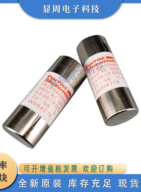 全新电子保险丝熔断器FR8AM40V6 8 10 C222205 F200749 W201292