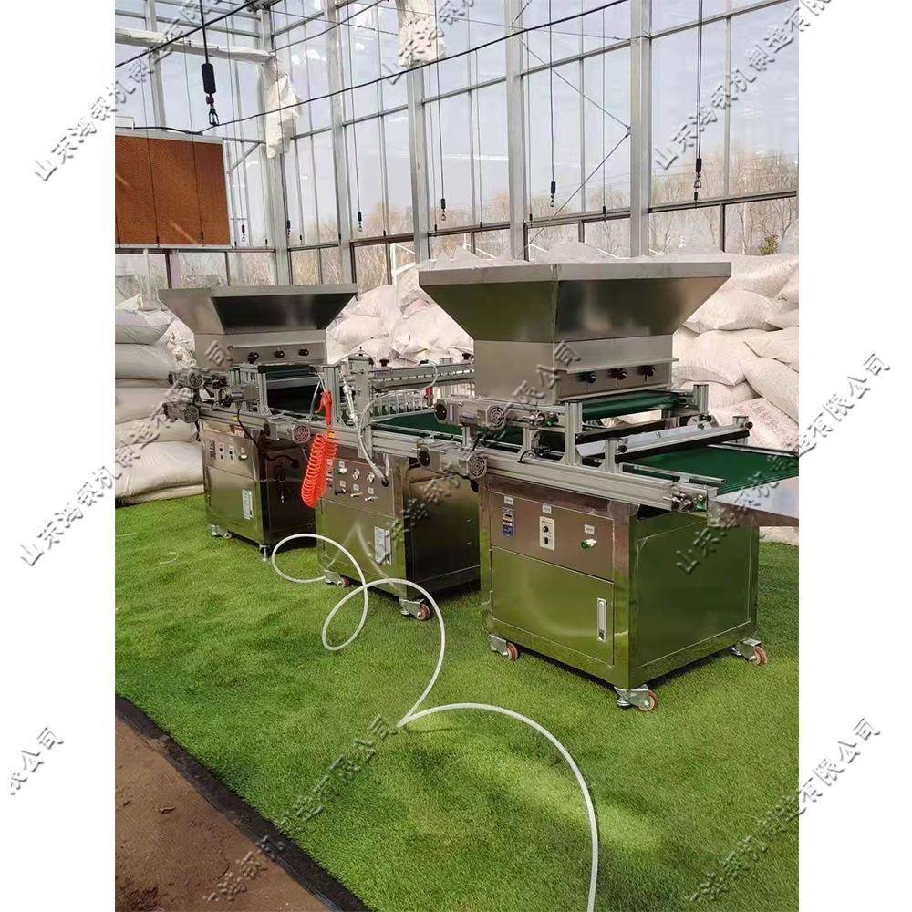 自动穴盘育苗机 水果蔬菜穴盘播种机 农用机械设备