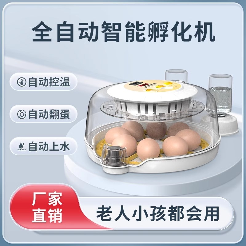 孵化器小型家用全自动小飞碟智能小鸡鹦鹉孵化机鸟蛋芦丁鸡孵蛋器