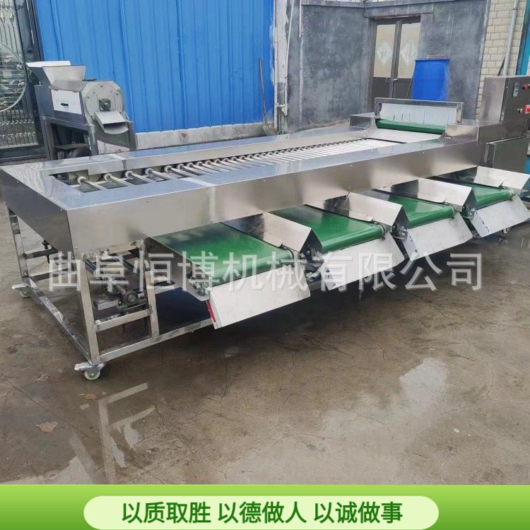 工业贝贝瓜分选机 商用桃子筛选设备 大型不锈钢果蔬滚杠筛选机