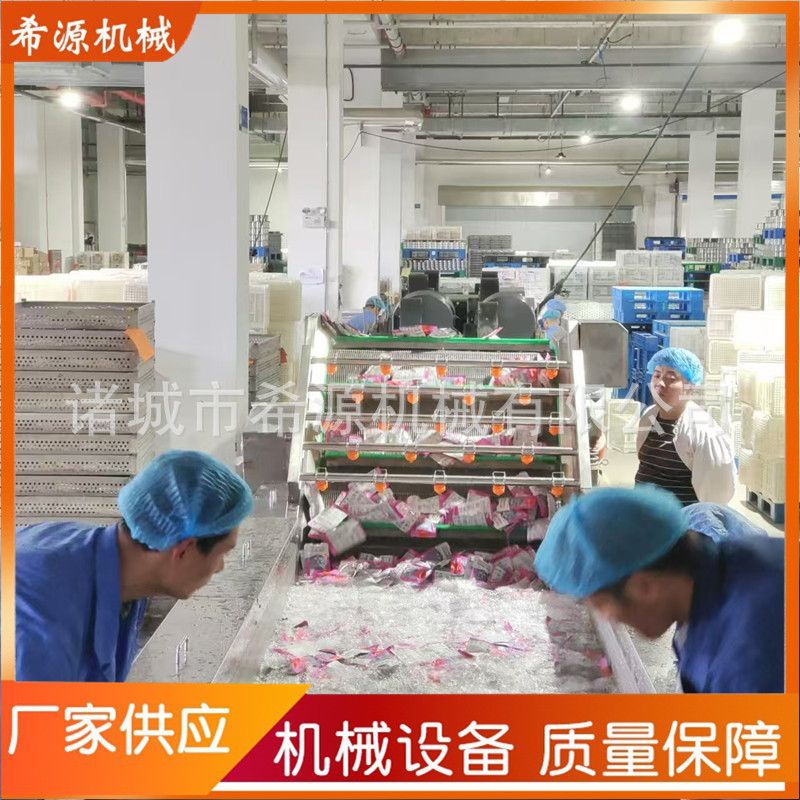果蔬气泡清洗机苦菊生菜洗菜机 佛手瓜鼓泡清洗设备 净菜加工设备