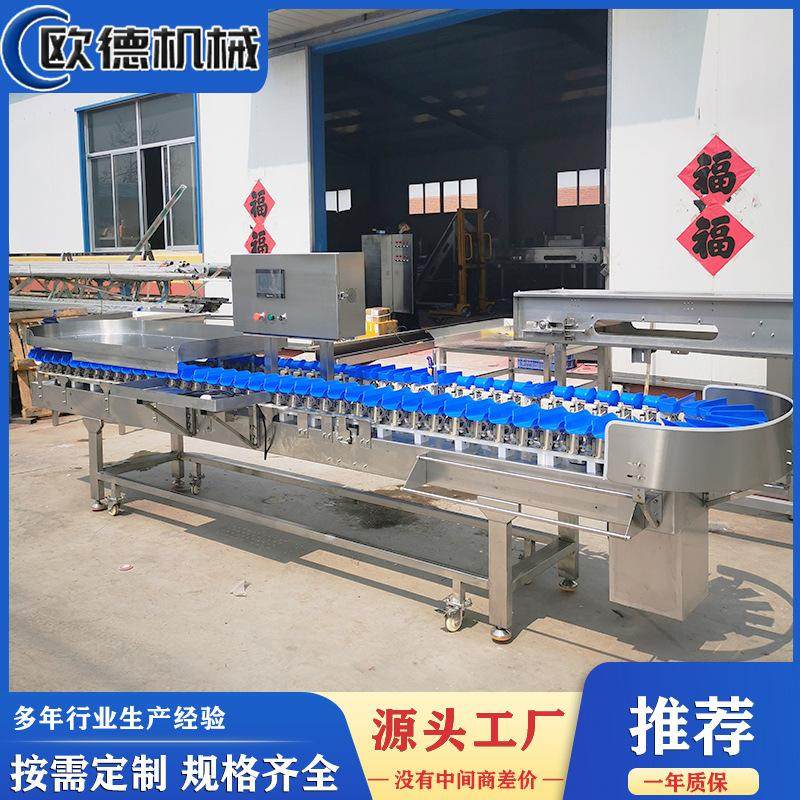 自动分拣机海参称重分级机海参重量分选机料盒分拣机快速工作,清洗/食品/商业设备,选果机/分选机,淘宝优惠券,粉丝福利购,淘宝优惠卷