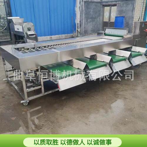 大型西红柿分选机 土豆洋葱筛选机 商用大蒜分级机 李子选果机