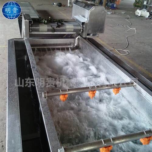 小鱼仔清洗流水线 中小型鱼类清洗除杂机带毛辊 龙虾尾气泡清洗机