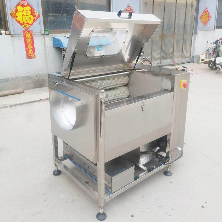 生姜去皮机毛刷大枣清洗机全自动海蛎子扇贝去泥清洗机芋头去皮机,清洗/食品/商业设备,去皮机,淘宝优惠券,粉丝福利购,淘宝优惠卷