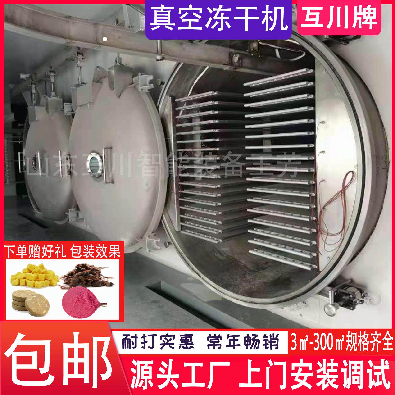 酥酥脆脆冻干酸奶块干燥机 商用全自动芒果干FD真空冻干机设备