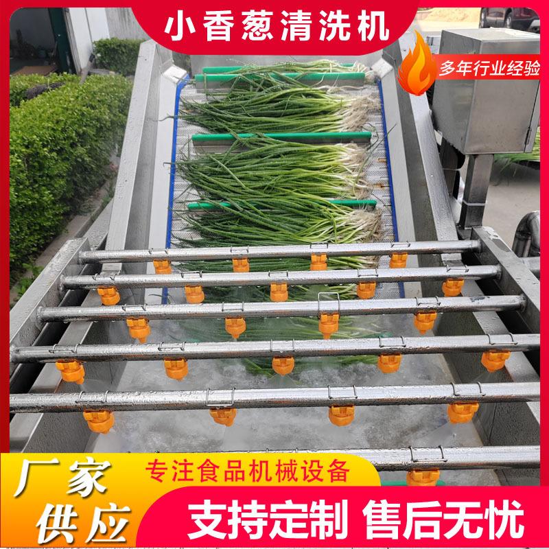 厂家 全自动果蔬气泡清洗机艾蒿气泡翻浪清洗线野蒜清洗机设备