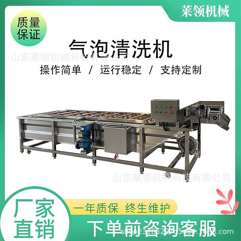 酱菜清洗成套设备鼓泡式蔬菜清洗设备杨桃水蜜桃杨梅蓝莓清洗机器