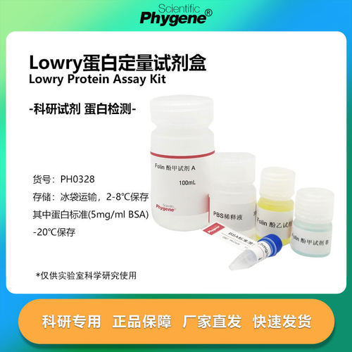Lowry法蛋白浓度测定试剂盒 蛋白定量 福林酚法 [PH0328 PHYGENE]
