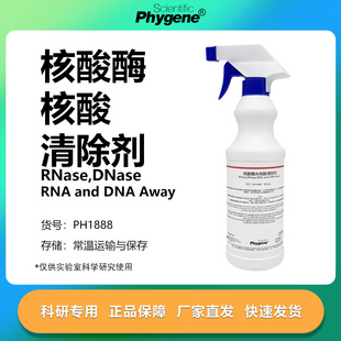 核酸酶 and 实验 PHYGENE RNA Away DNase RNase 核酸清除剂 DNA