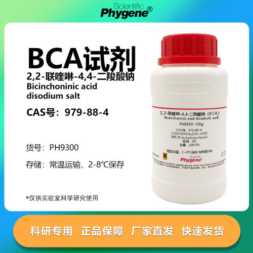 phygene试剂BCA试剂实验专用