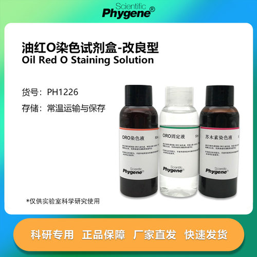 油红O染色液-改良型 Oil Red O 脂肪染色试剂盒 [PH1226 PHYGENE]