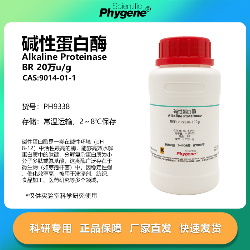 碱性蛋白酶20万u/g实验专用
