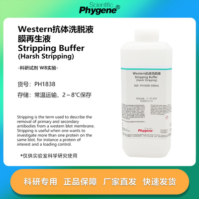 Western抗体洗脱液膜再生液