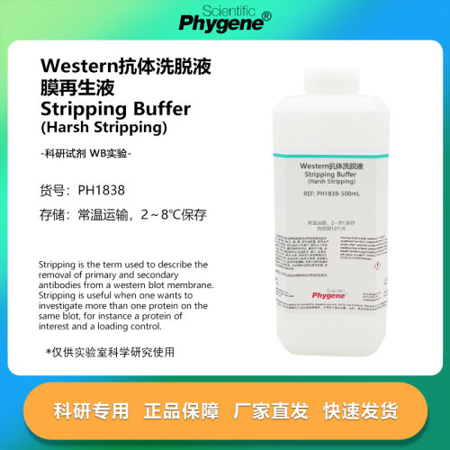 Western抗体洗脱液膜再生液