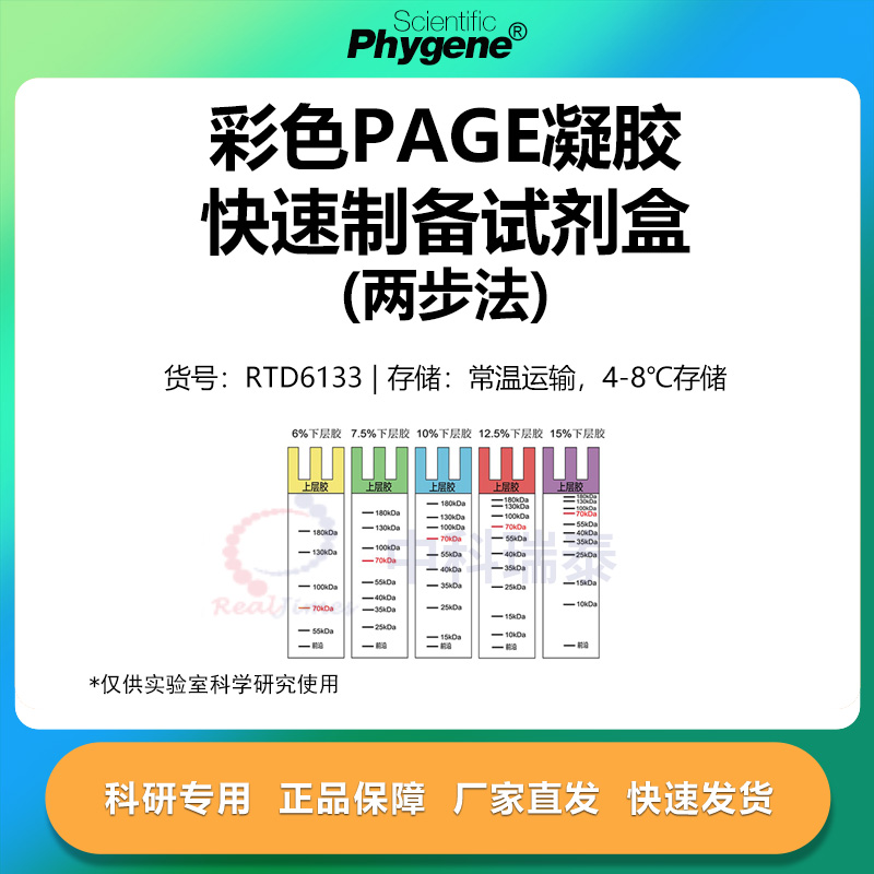 彩色PAGE凝胶快速制备试剂盒