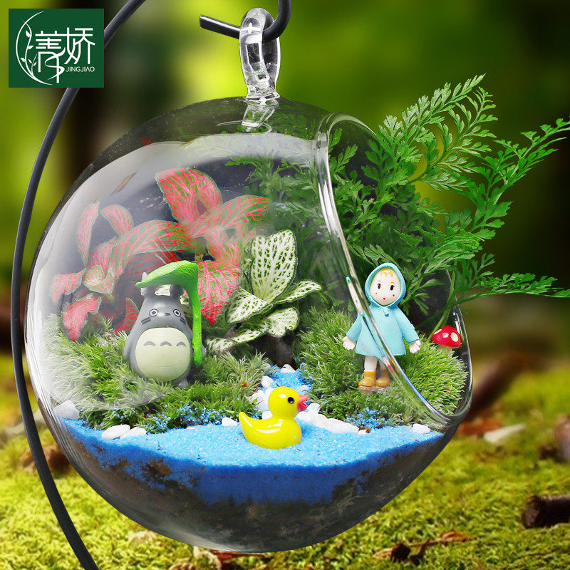 12cm苔藓新鲜植物迷你小盆栽 幼B儿园桌面微景观生态玻璃瓶diy材