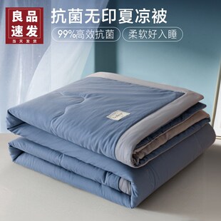 被子薄L款 宿舍单人学生夏被春秋 夏凉被可机洗2024新款 空调被夏季