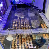 鱼缸盖板防跳网透明网格隔离板z挡鱼乌龟晒台水族箱透明盖子珊瑚