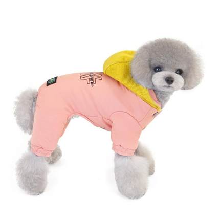 狗狗衣服冬季新款毛线帽加厚棉衣泰迪狗保暖棉衣小型犬宠物秋冬装