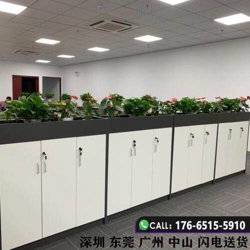 简约现代花槽矮柜定做办公室隔断柜文件资料柜组合双面木质花草柜