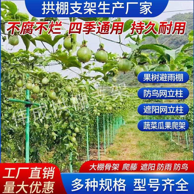 【客服定制】拱棚支架大棚拱杆玻璃纤维杆菜棚豆角架爬藤杆