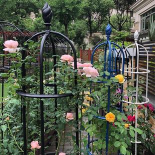 加粗款 爬藤架花园庭院户外阳台花架园艺植物铁线莲玫瑰花攀爬 月季