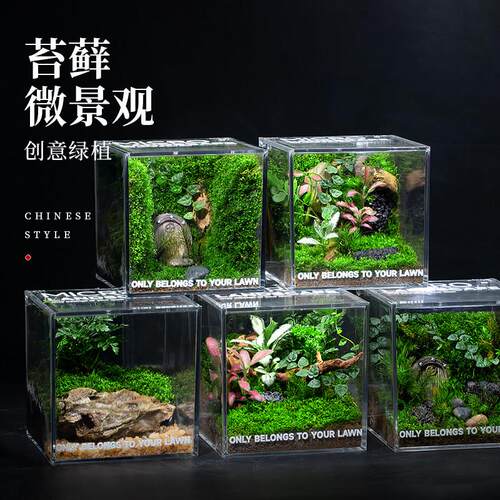 生态景观苔藓微雨林缸造景办公桌面植物盆景成品发货生态瓶送礼物