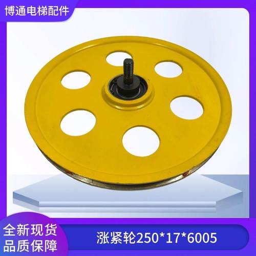 奥的斯涨紧轮250*17*6005天奥底坑涨紧装置HAA22700B2通用涨紧轮