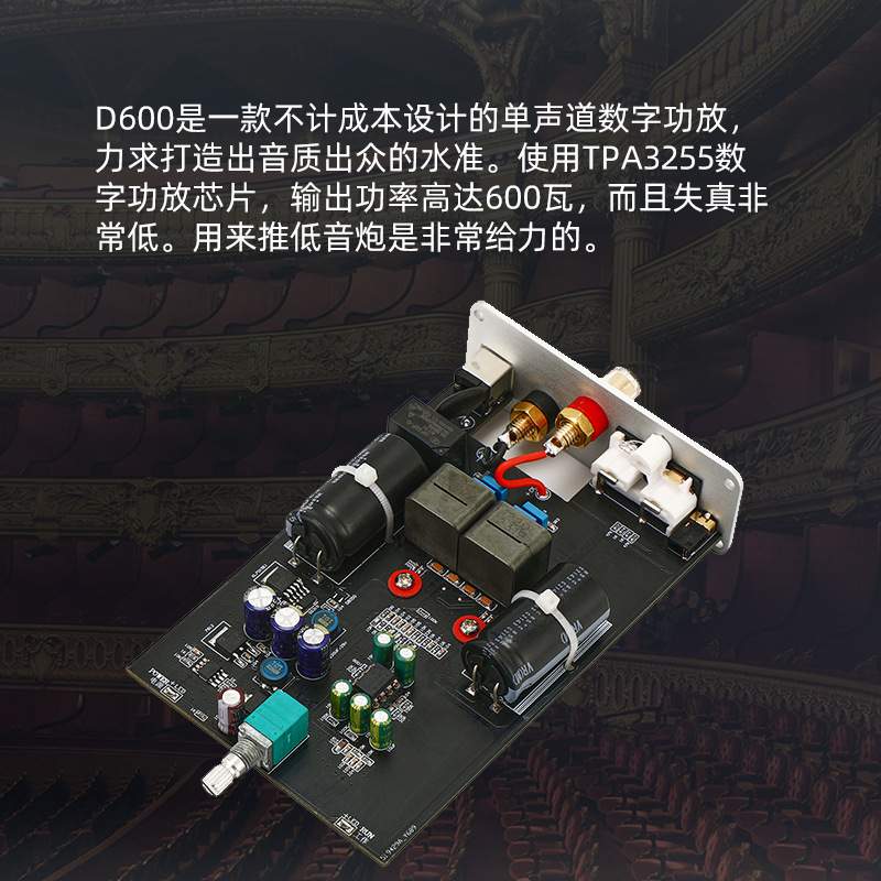 D600 TPA3255 单声道600W数字功放机