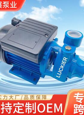 现货清水旋涡水泵PM45PM80铸铁水泵电动家用循环增压泵