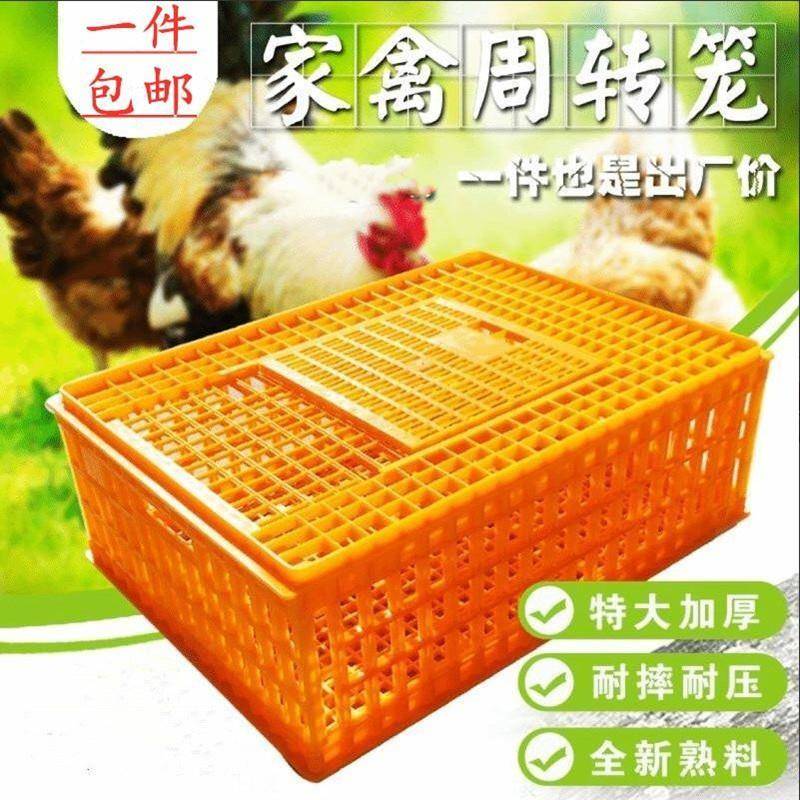 鸡运输笼鸡用周转箱运输鸡笼鸡鸭鸽兔周转箱运输笼鸡框