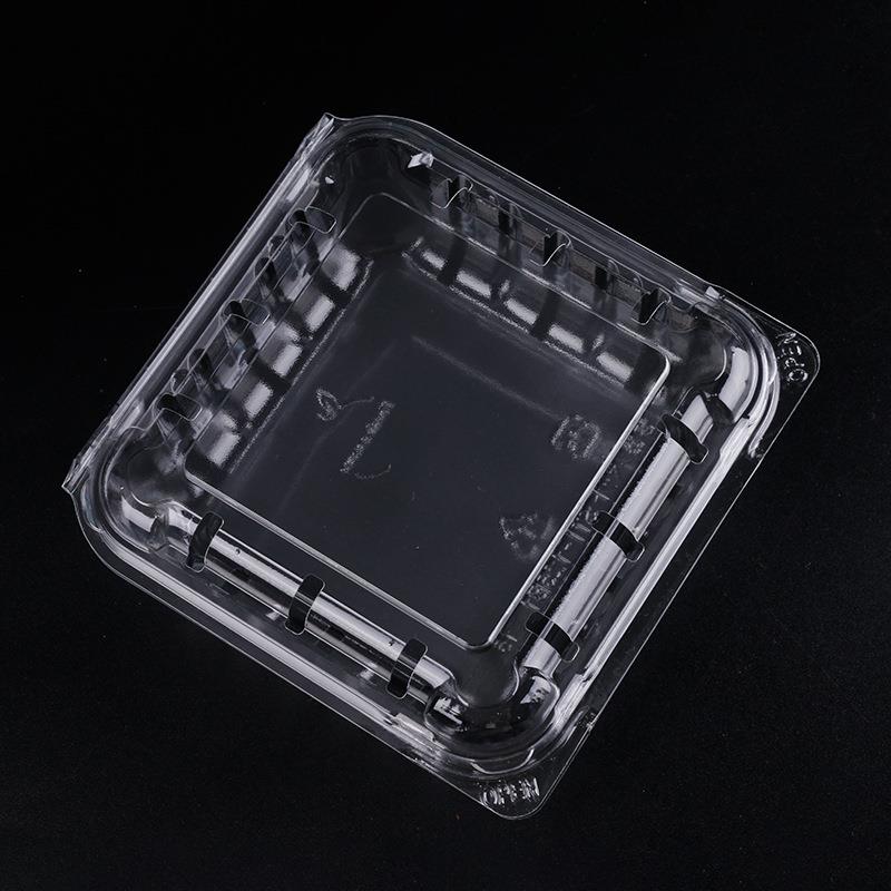 直销新款正方形STI蓝莓包装盒 桑葚杨梅水果枸杞盒一次性带透气孔