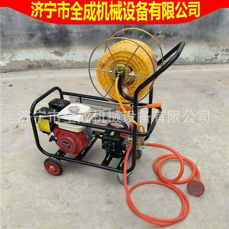 植保手推式GX160汽油打药机厂家园林绿化打药车推车式喷雾机,农机/农具/农膜,植保机械,淘宝优惠券,粉丝福利购,淘宝优惠卷