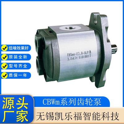 系列齿轮油泵CBWma-F3.5-ALPL 动力单元油泵 举升机油泵