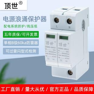 二级单相电源B级防雷器 2P60KA防浪涌电涌保护器家用模块光伏避雷