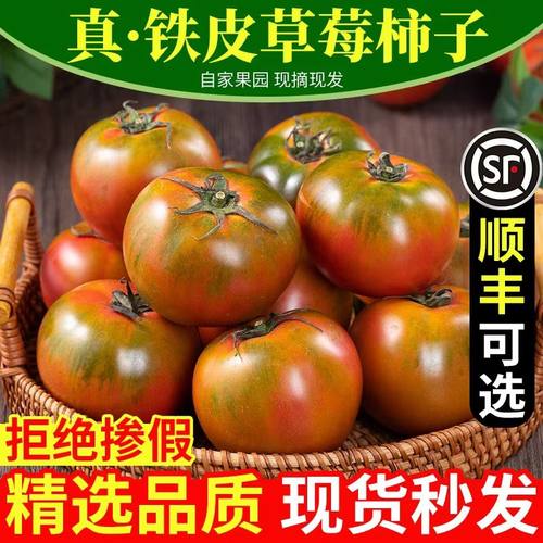 丹东铁皮草莓西红柿新鲜番茄顺丰