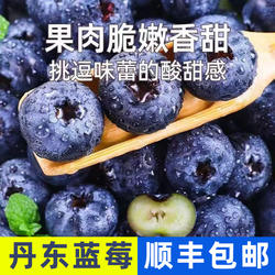 丹东新鲜蓝莓现摘现发精品当季大果孕妇水果宝宝辅食顺丰包邮