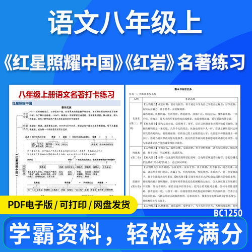 2026初中语文名著红星照耀中国红岩阅读练习名著导读名著整本书阅读练习题名著内容知识梳理八年级上册电子版资料