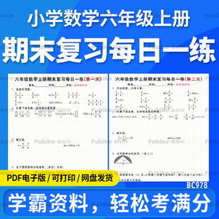 2025小学数学六年级上册期末复习每日一练题型梳理专项练习电子版资料