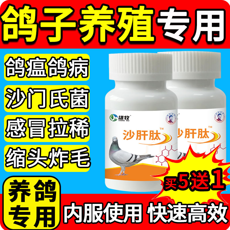 雄牧沙肝肽正品赛信幼鸽子调理肠道拉稀水绿便沙门氏菌专用特效药
