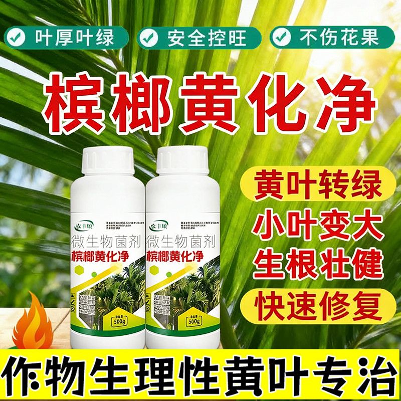 槟榔黄化病专用净微生物菌剂黄叶叶面肥