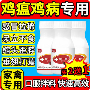 禽一粒片正品养鸡瘟病全治专用家禽鸡鸭鹅感冒厌食拉稀特效救命药