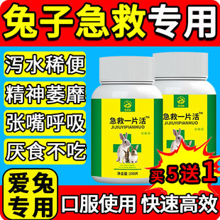 急救一片活兽用兔子鸡鸭鹅专用药预防感发拉冒烧稀腹呕胀厌泻吐食
