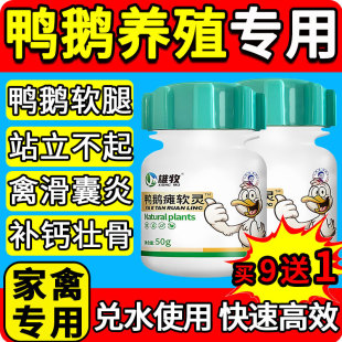 雄牧鸡鸭鹅瘫软腿脚灵康正品家禽用站不起来无力特效专用药滑支康