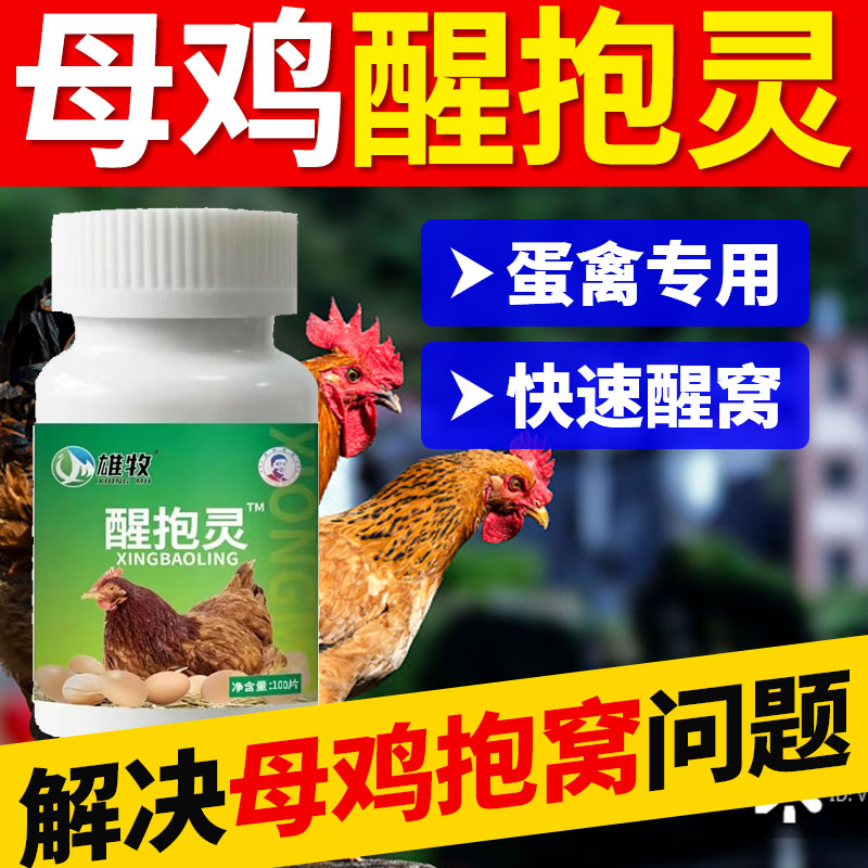 雄牧母鸡醒抱灵正品鸡鸭鹅鸽蛋禽饲料添加剂